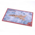 Puzzle 3D - J10 Fighter